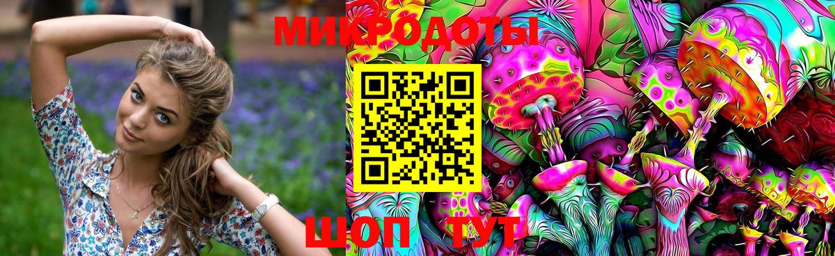 Ефремов  Галлюциногенные грибы прущие грибы  Вход с VPN  Галлюциногенные грибы GOLDEN TEACHER 